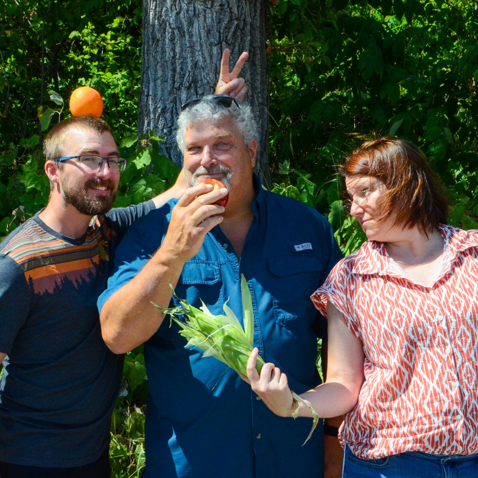 Accompagnements et formations gratuites cet automne pour les organismes sportifs